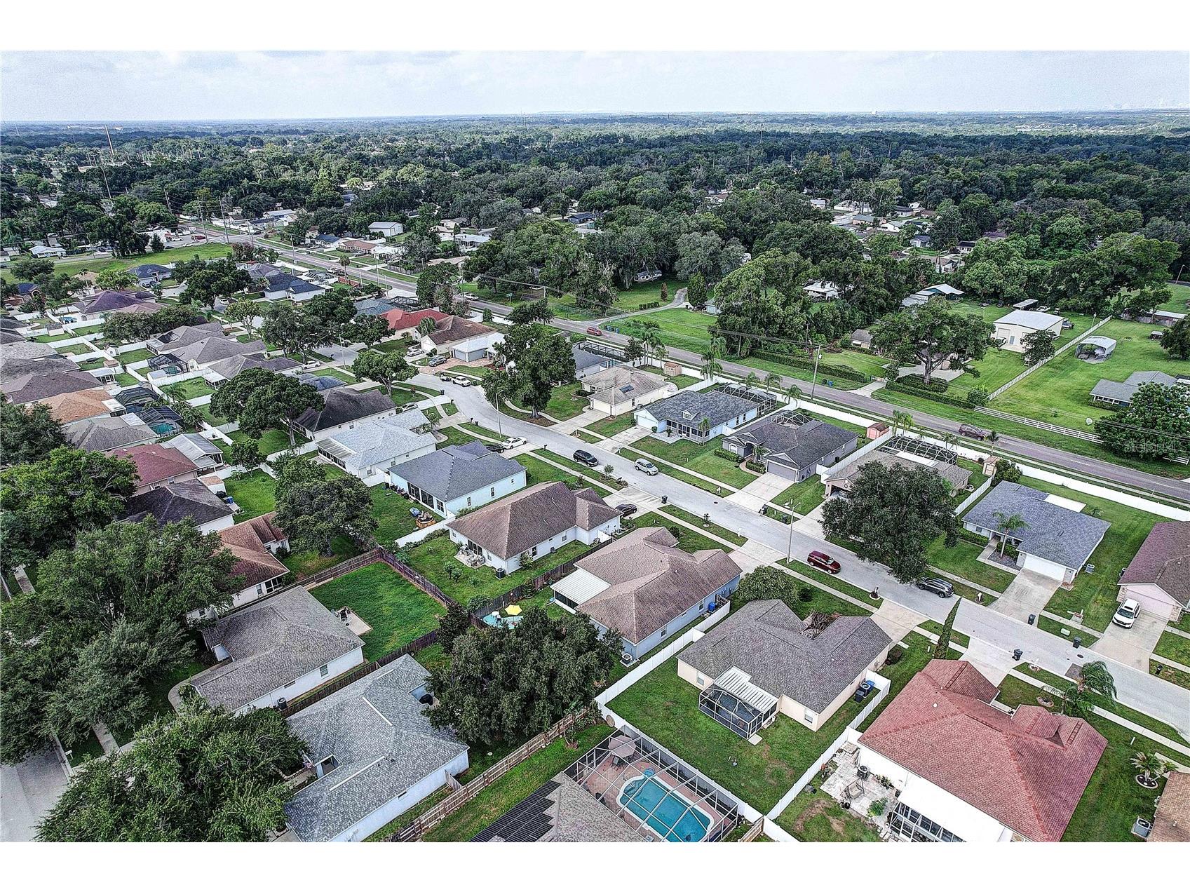 2242 Towering Oaks Circle Seffner FL 33584 TB8531581 image43