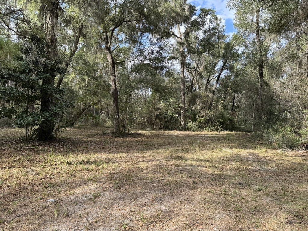 22422 NW 91 Court Road Micanopy FL 32667 TB8358496 image1