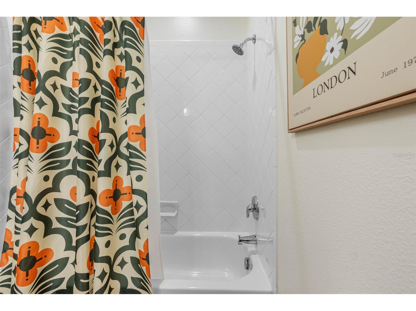 22425 Oakville Drive Land O Lakes FL 34639 TB8492857 image25