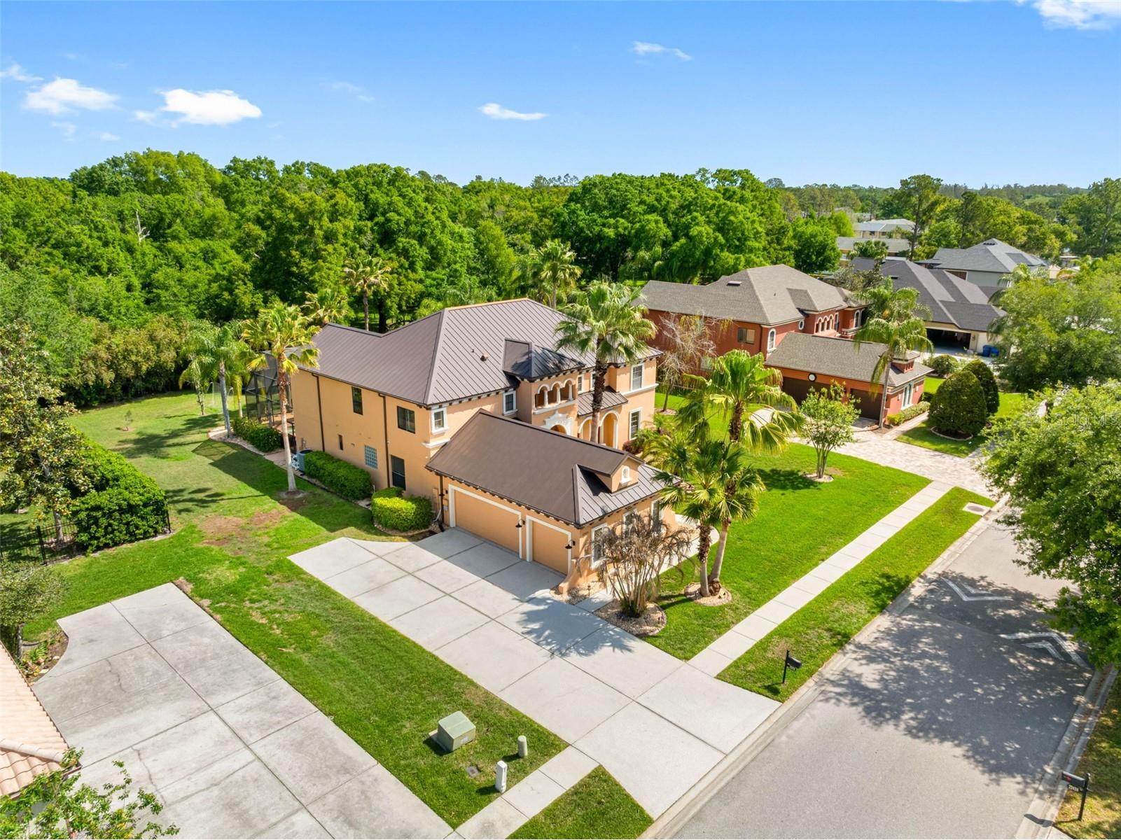 22425 Oakville Drive Land O Lakes FL 34639 TB8492857 image53