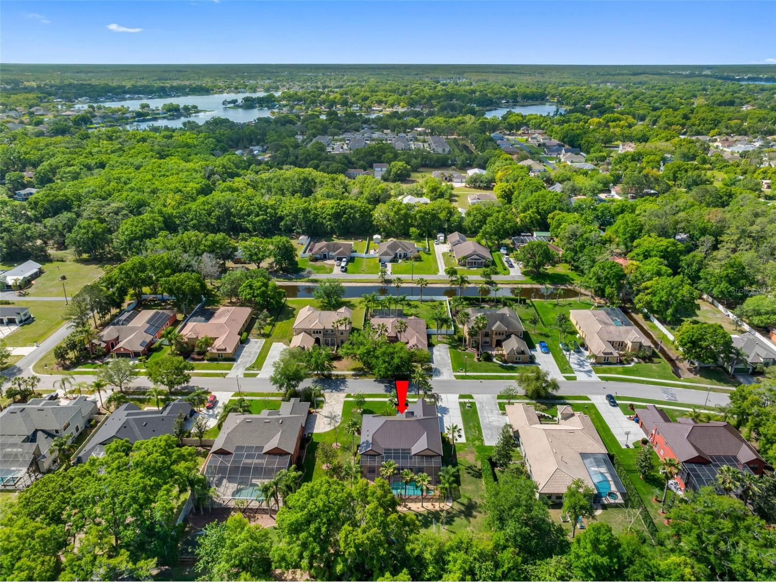 22425 Oakville Drive Land O Lakes FL 34639 TB8492857 image55