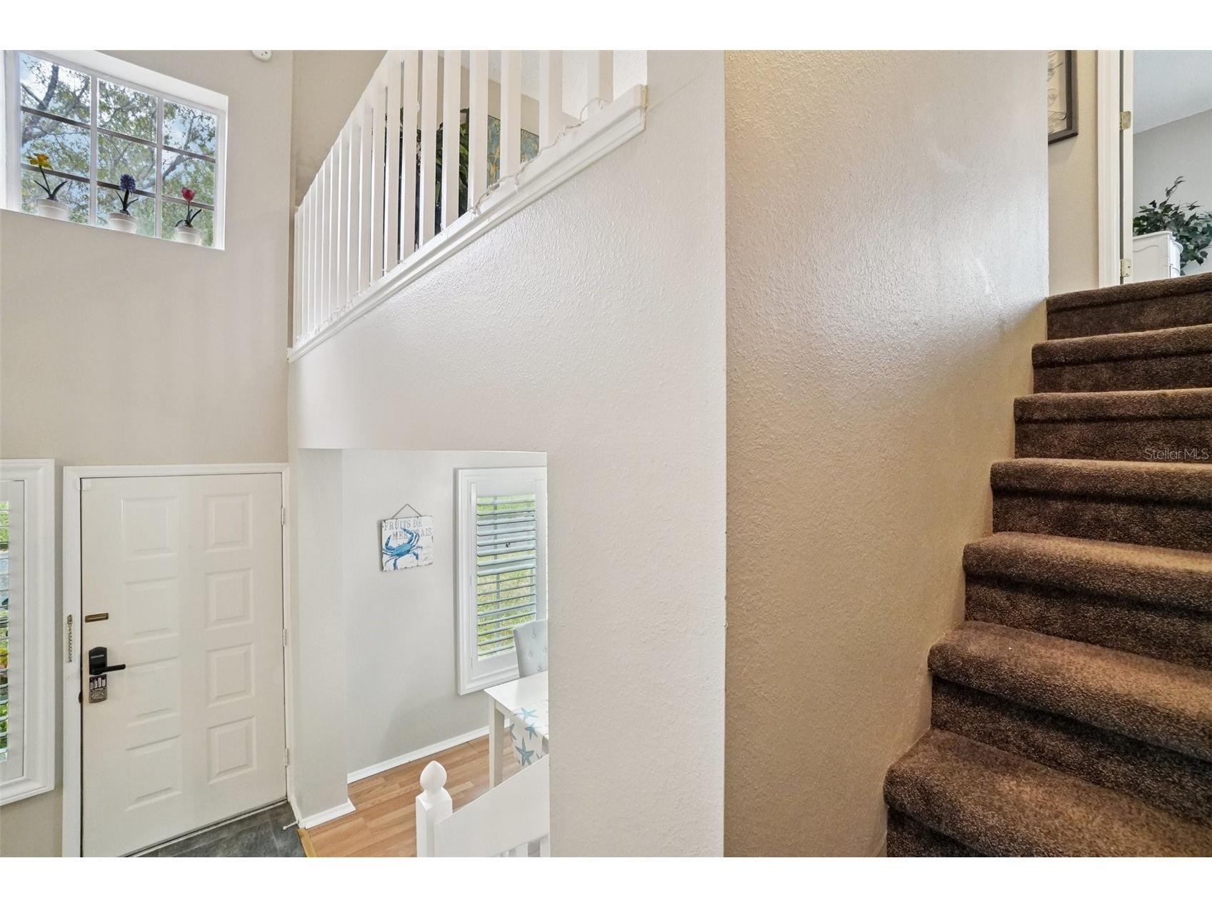 2243 Andover Circle Palm Harbor FL 34683 TB8454239 image20