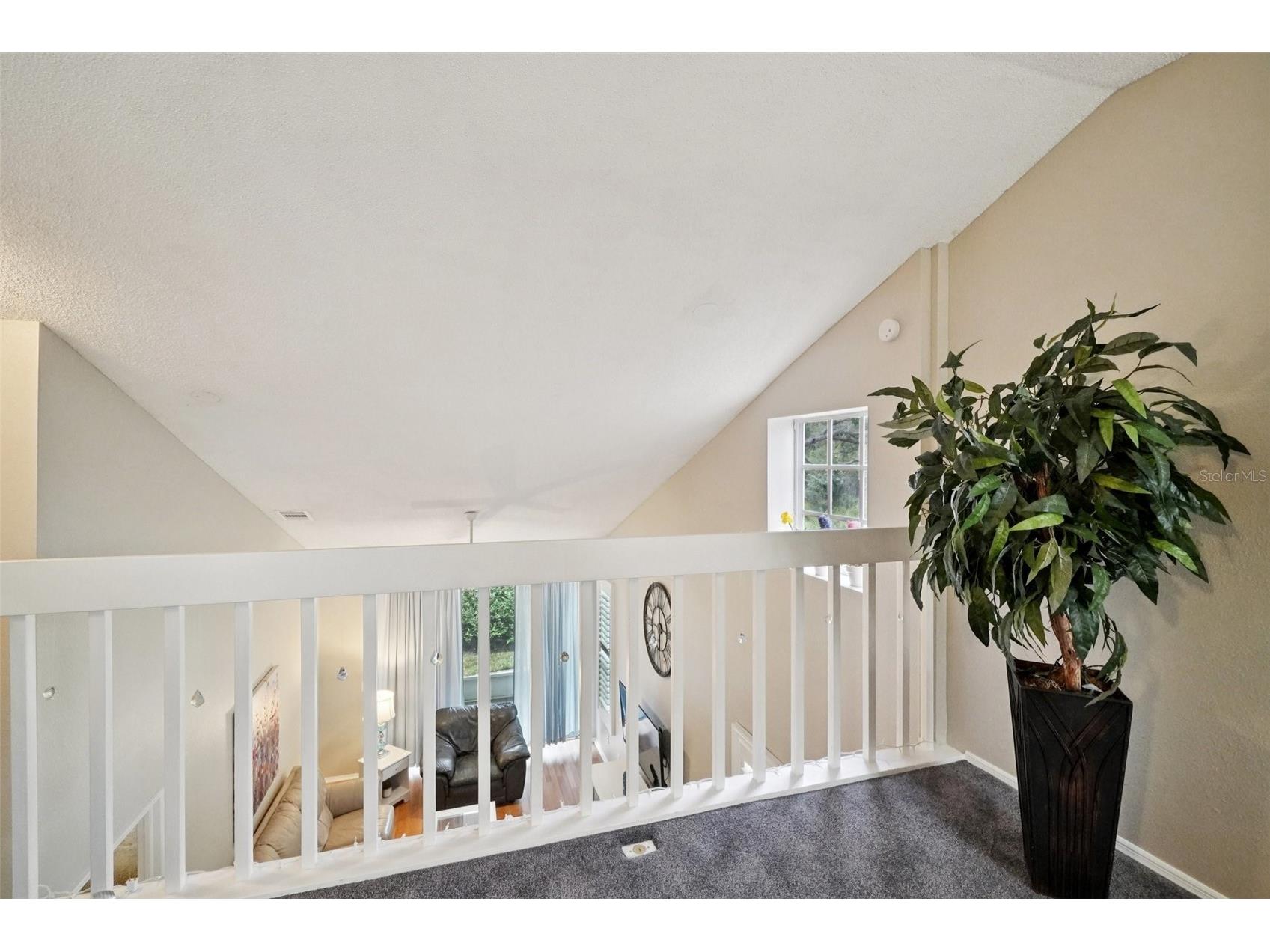 2243 Andover Circle Palm Harbor FL 34683 TB8454239 image22