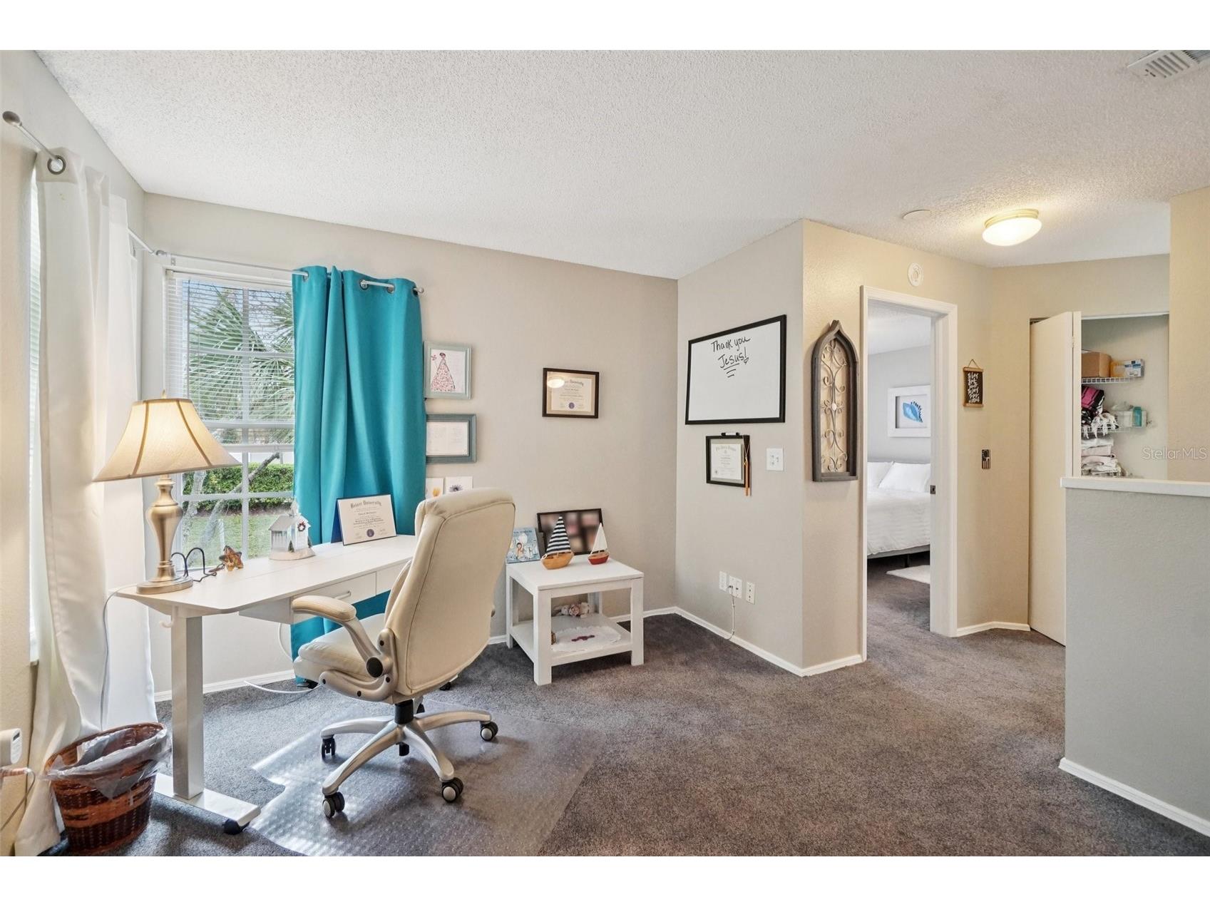 2243 Andover Circle Palm Harbor FL 34683 TB8454239 image23