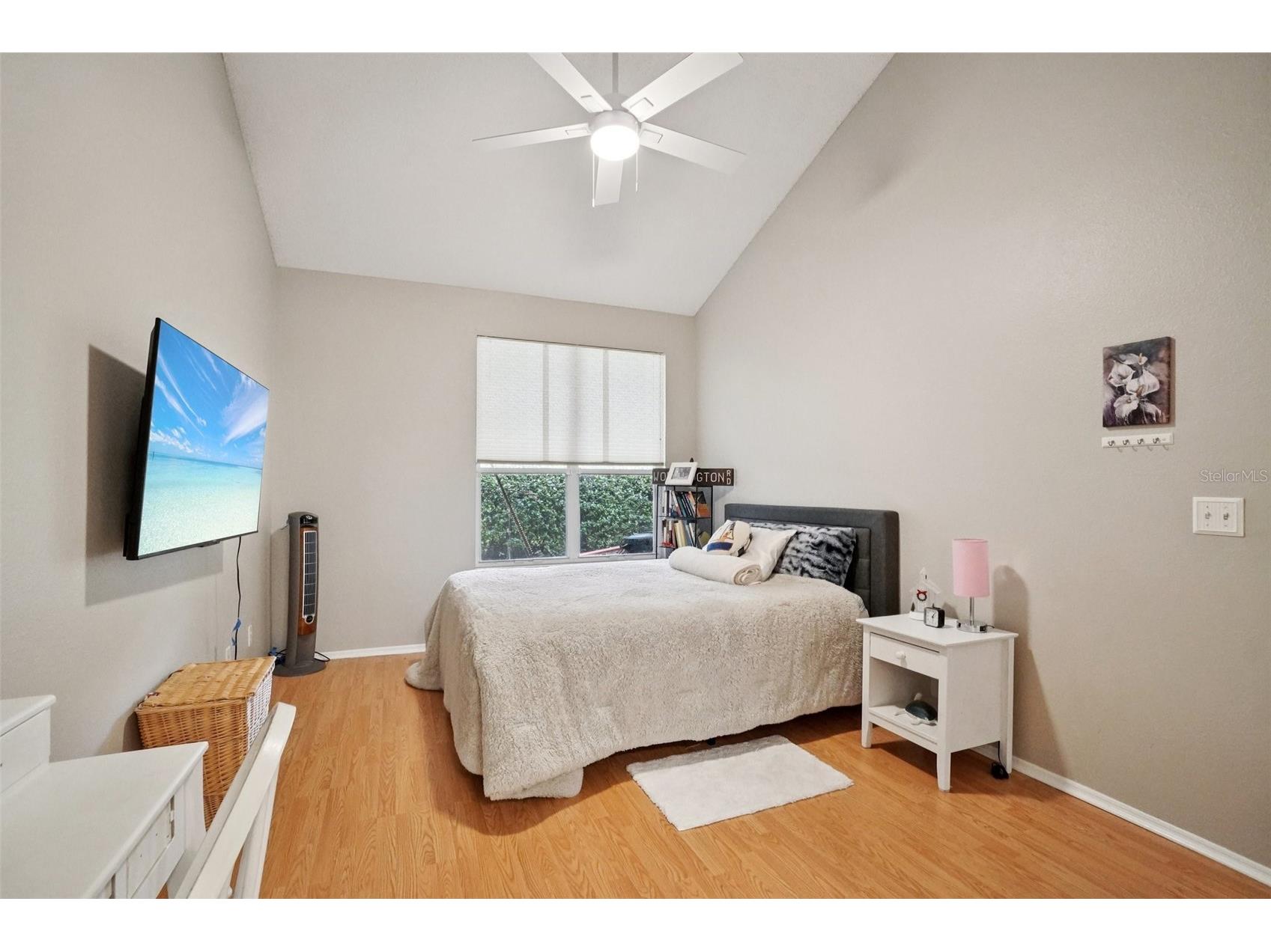 2243 Andover Circle Palm Harbor FL 34683 TB8454239 image26