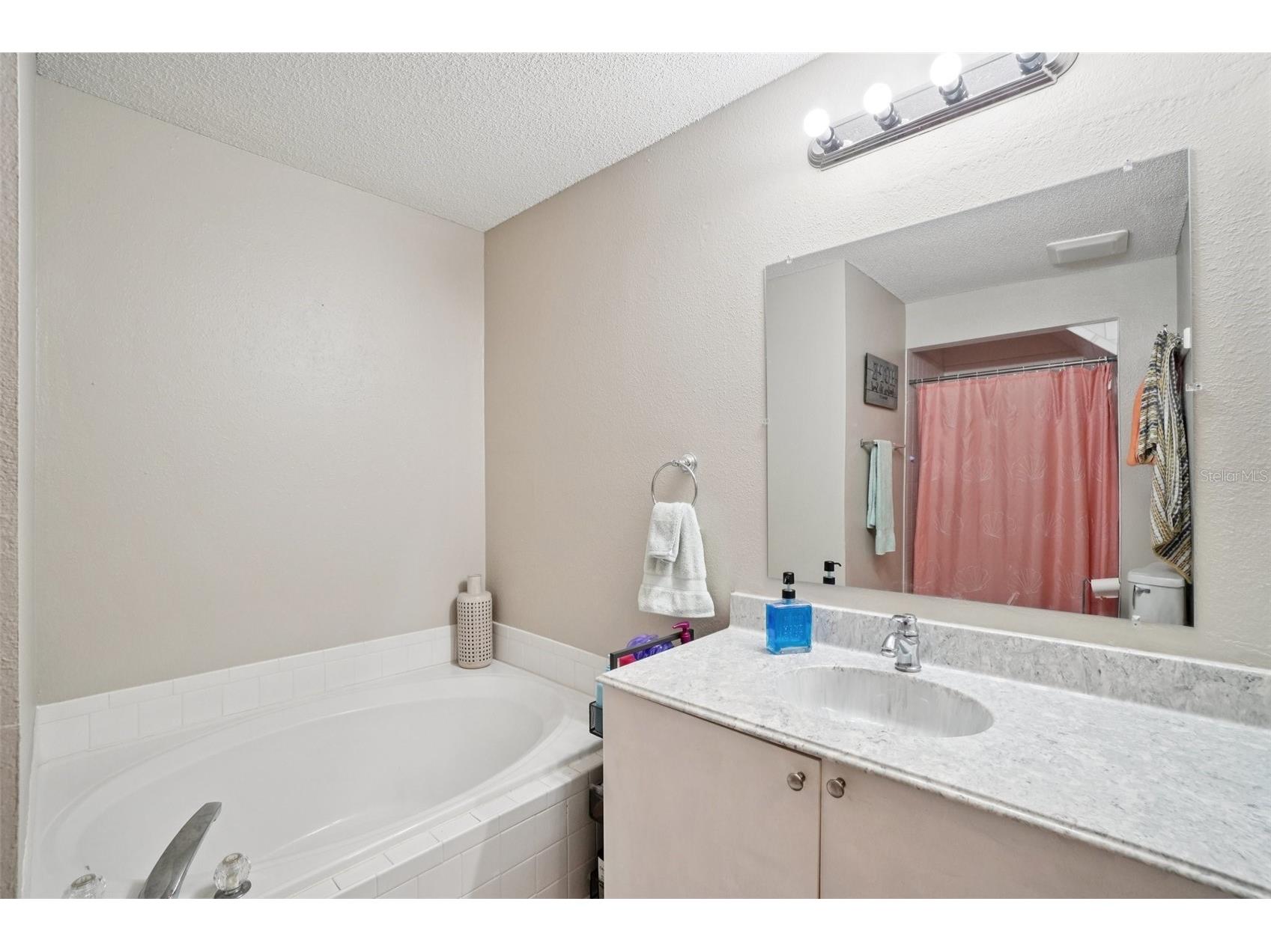 2243 Andover Circle Palm Harbor FL 34683 TB8454239 image29