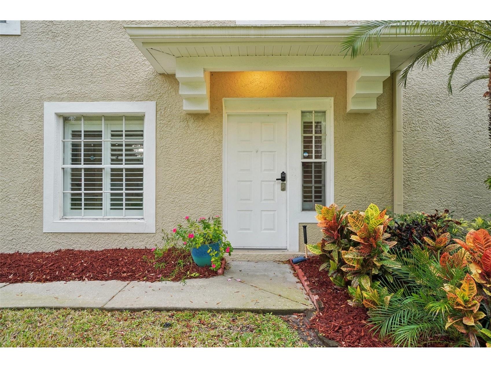 2243 Andover Circle Palm Harbor FL 34683 TB8454239 image3