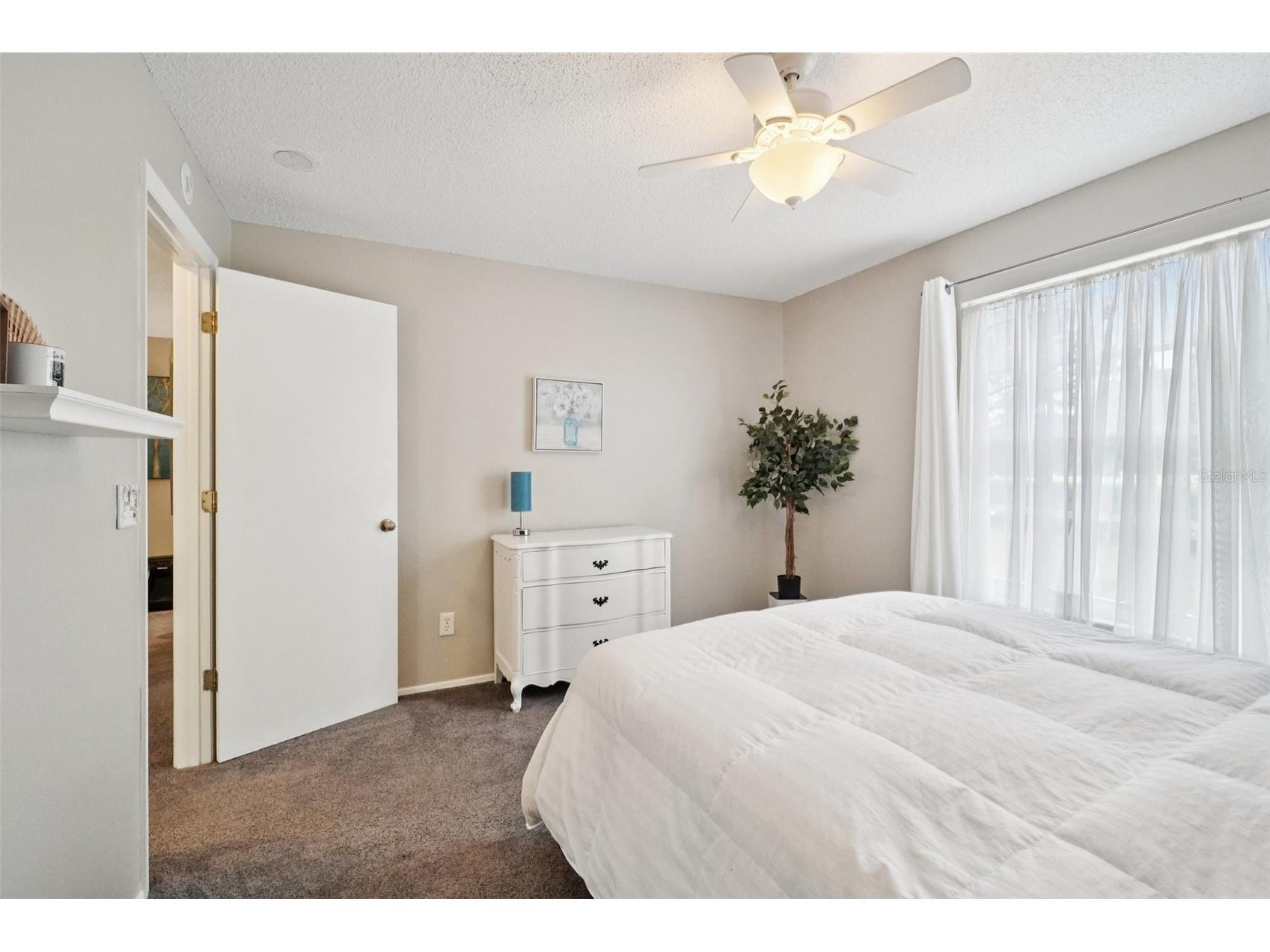 2243 Andover Circle Palm Harbor FL 34683 TB8454239 image31