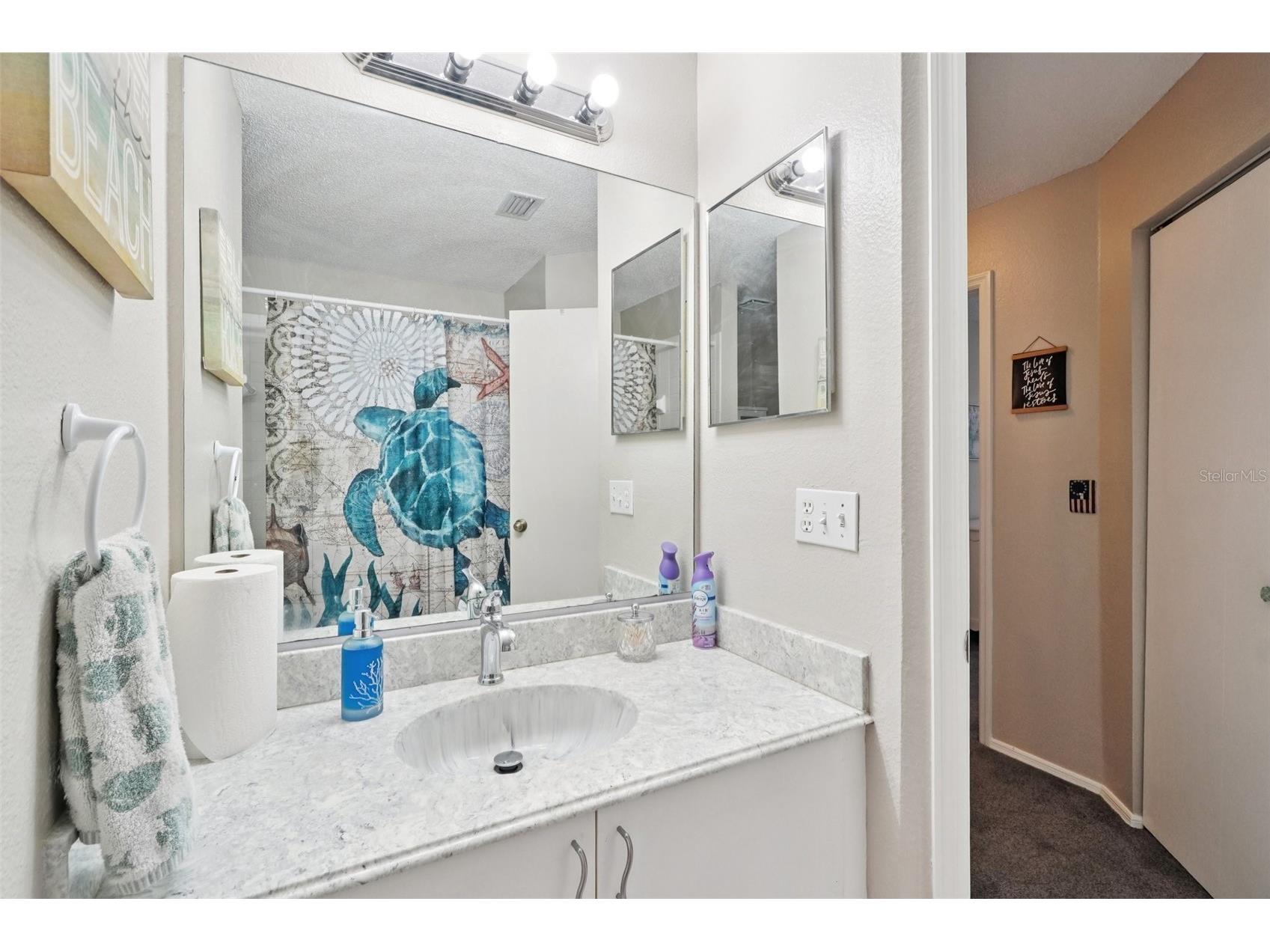 2243 Andover Circle Palm Harbor FL 34683 TB8454239 image33