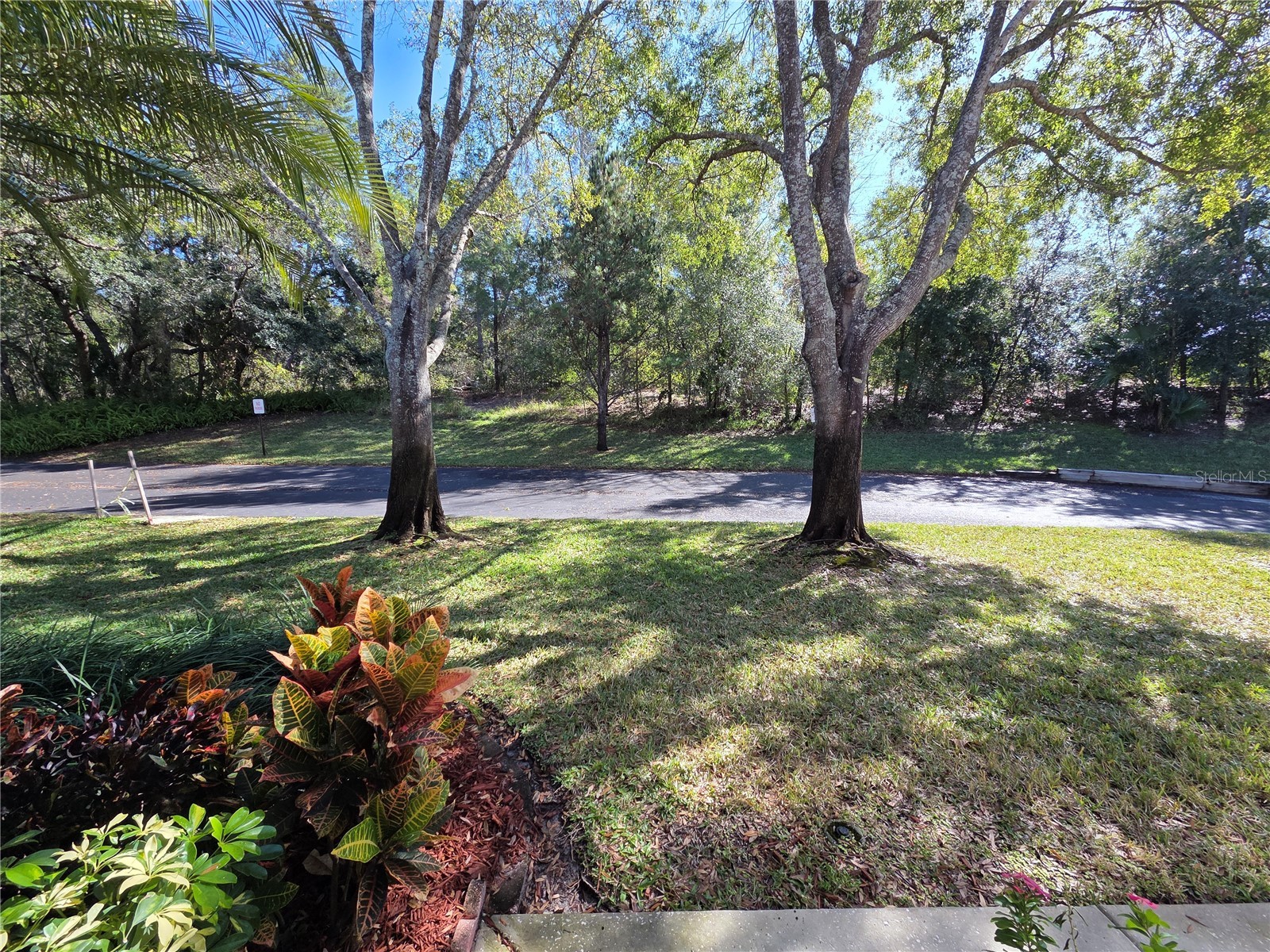 2243 Andover Circle Palm Harbor FL 34683 TB8454239 image4