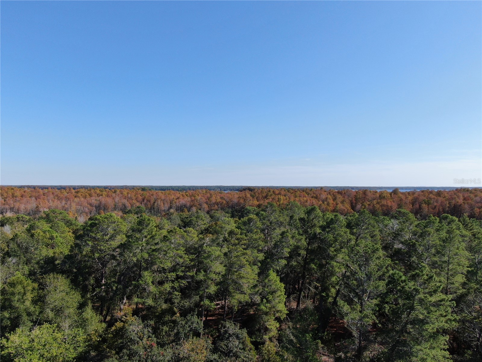 2243 Andover Circle Palm Harbor FL 34683 TB8454239 image41