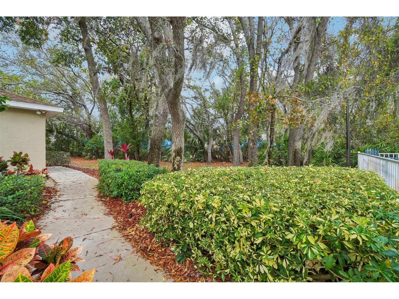 2243 Andover Circle Palm Harbor FL 34683 TB8454239 image43