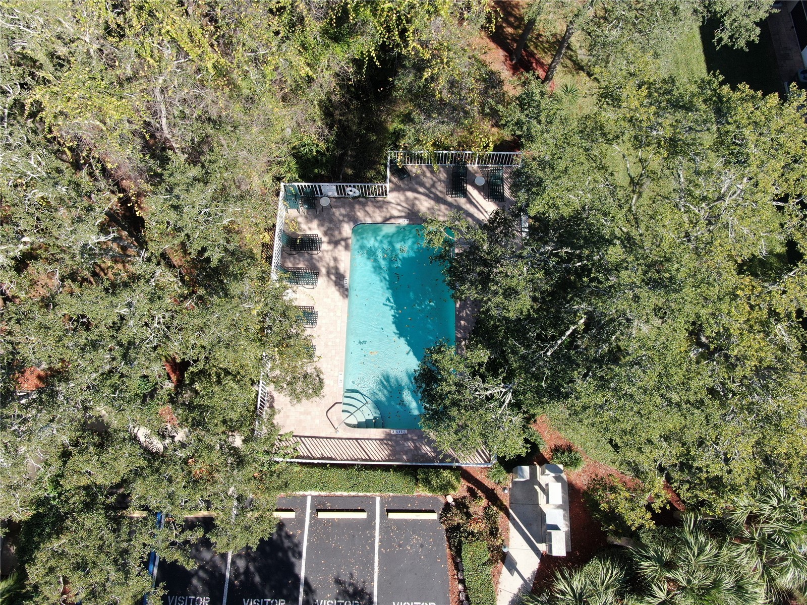 2243 Andover Circle Palm Harbor FL 34683 TB8454239 image47