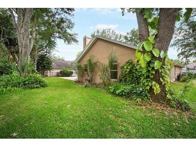 2243 Eagle Bluff Drive Valrico FL 33596 TB8439468 image19