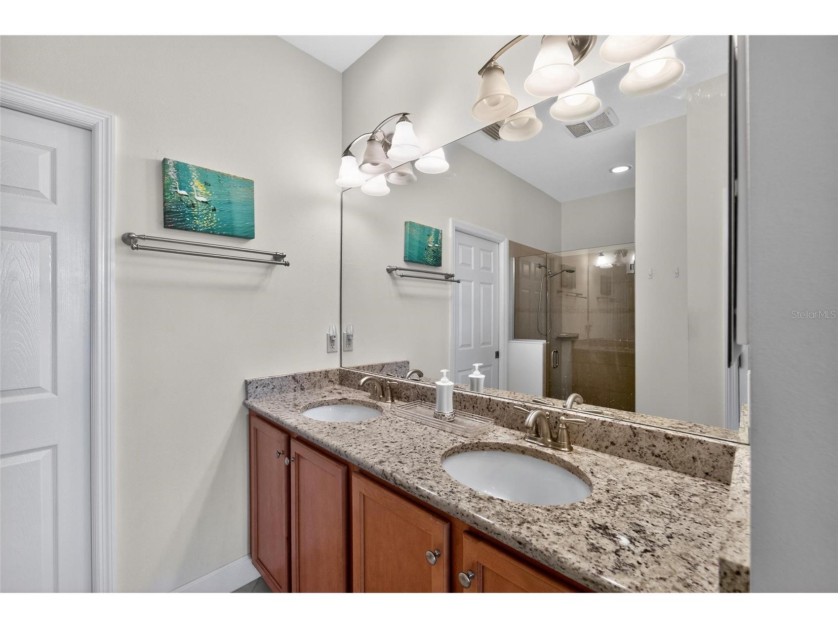 2243 Oakley Green Drive #29 Sun City Center FL 33573 TB8465417 image35