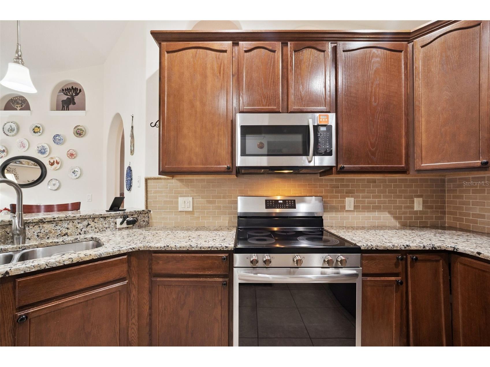 2243 Wolf Ridge Lane Mount Dora FL 32757 G5113576 image26