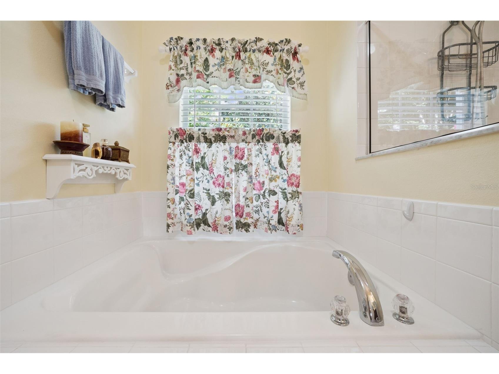 2243 Wolf Ridge Lane Mount Dora FL 32757 G5113576 image34