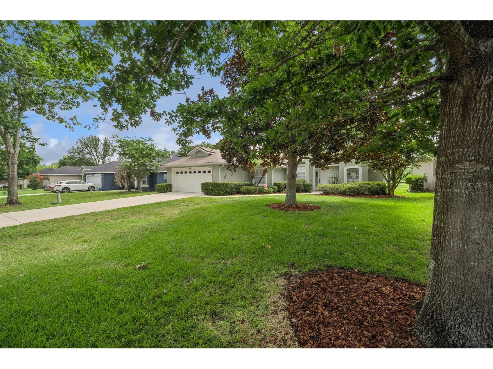 2243 Wolf Ridge Lane Mount Dora FL 32757 G5113576 image48