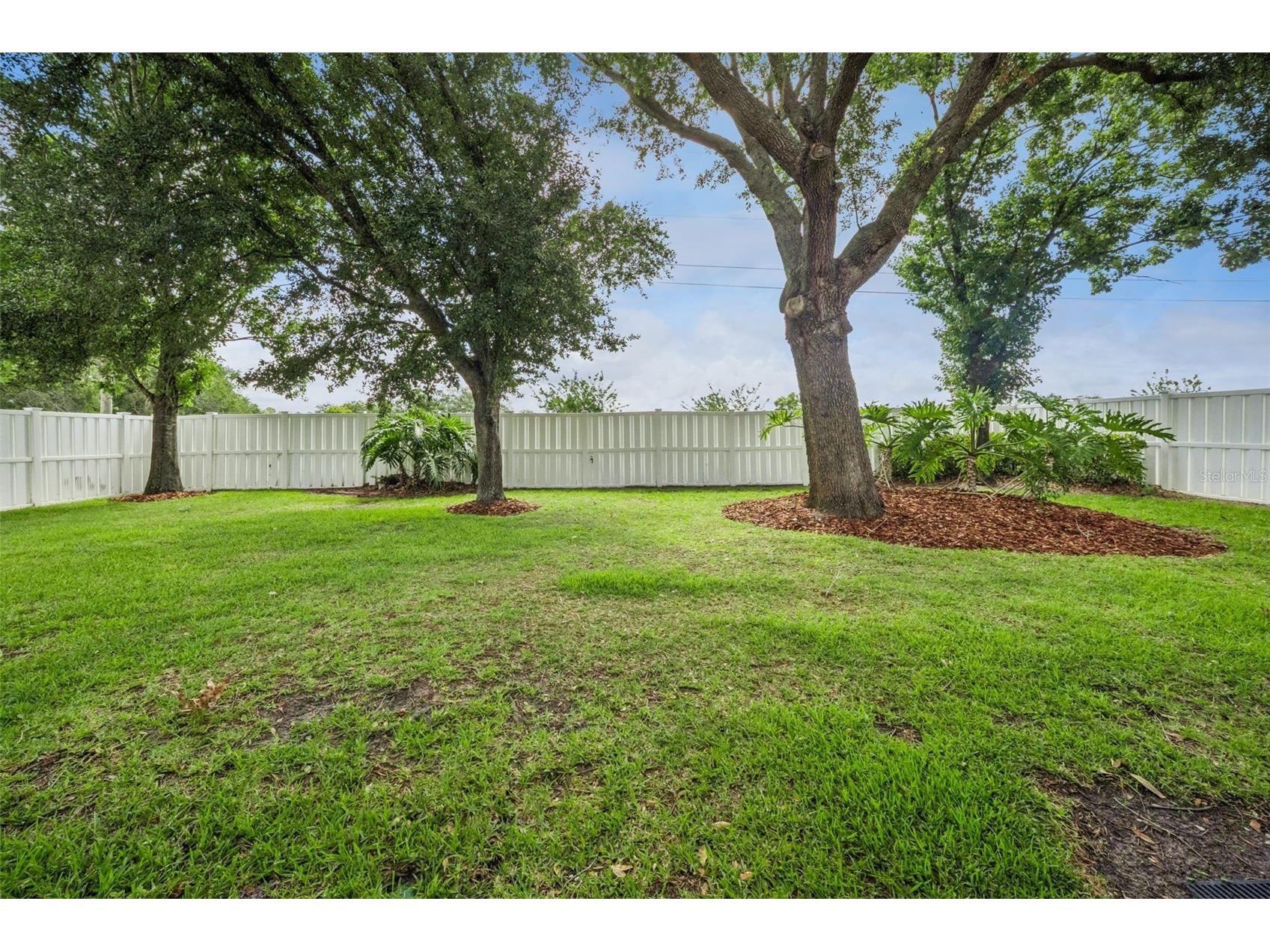 2243 Wolf Ridge Lane Mount Dora FL 32757 G5113576 image49