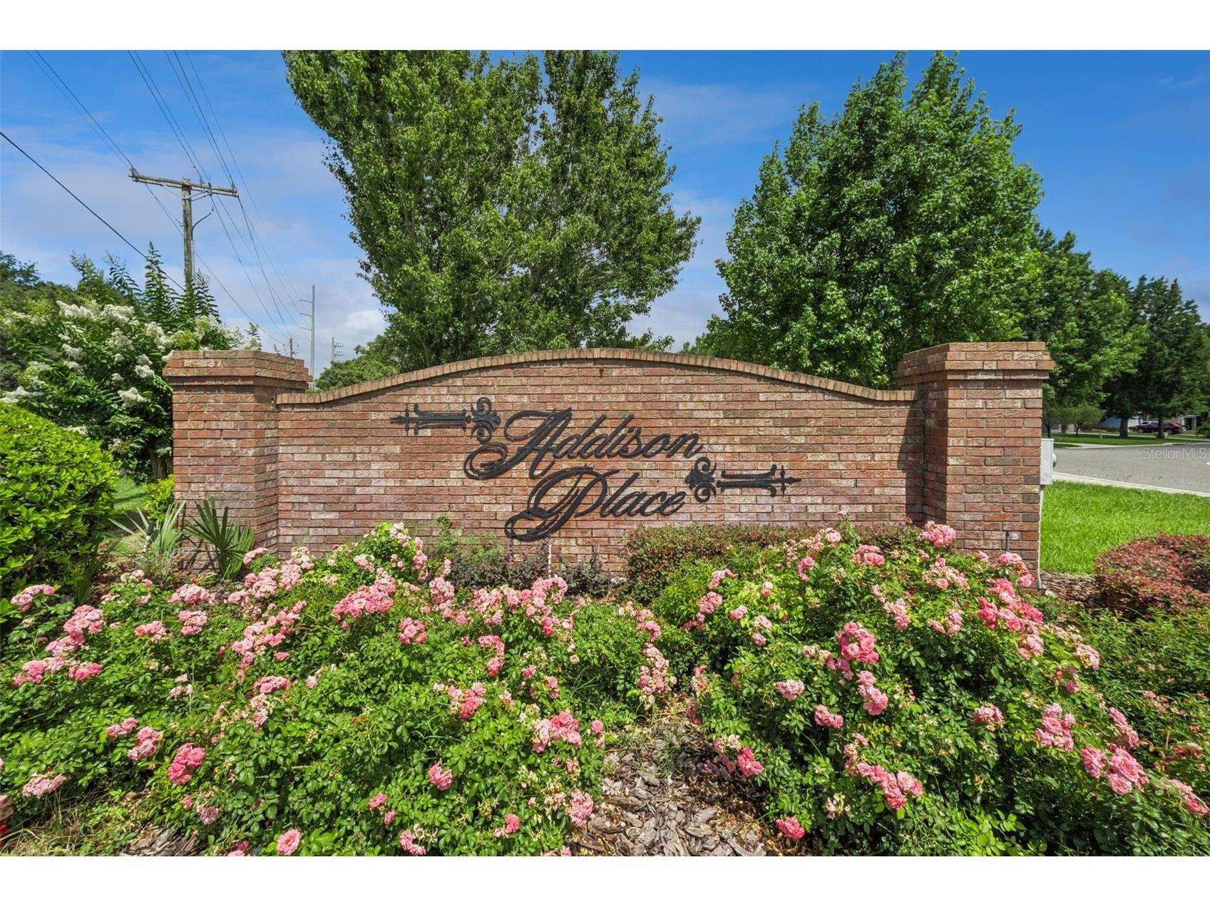 2243 Wolf Ridge Lane Mount Dora FL 32757 G5113576 image51