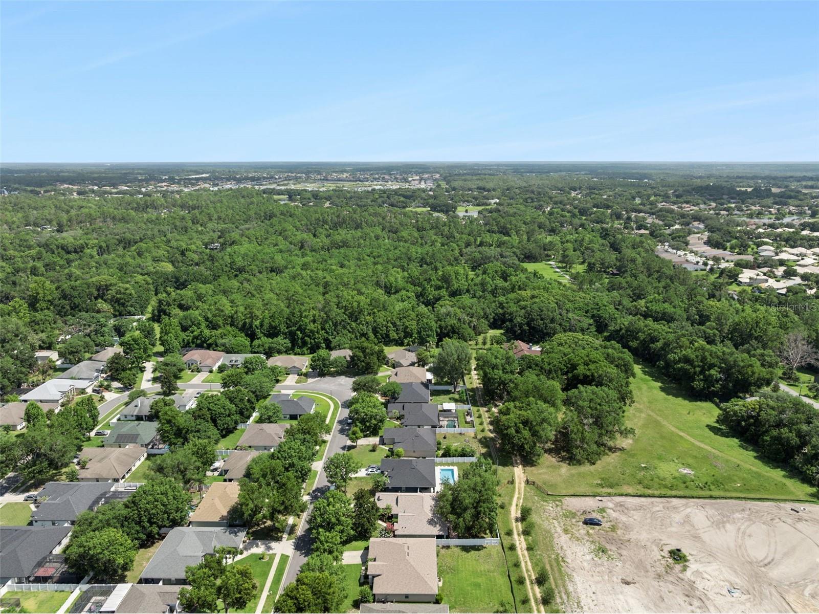 2243 Wolf Ridge Lane Mount Dora FL 32757 G5113576 image57