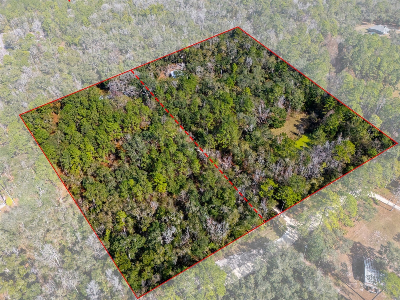 22439 Bull Run Road Brooksville FL 34602 W7882354 image1