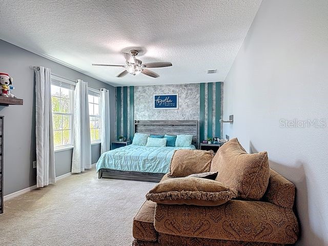 2244 Canyon Breeze Avenue Kissimmee FL 34746 O6385268 image46