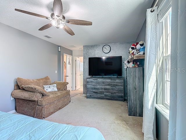 2244 Canyon Breeze Avenue Kissimmee FL 34746 O6385268 image48