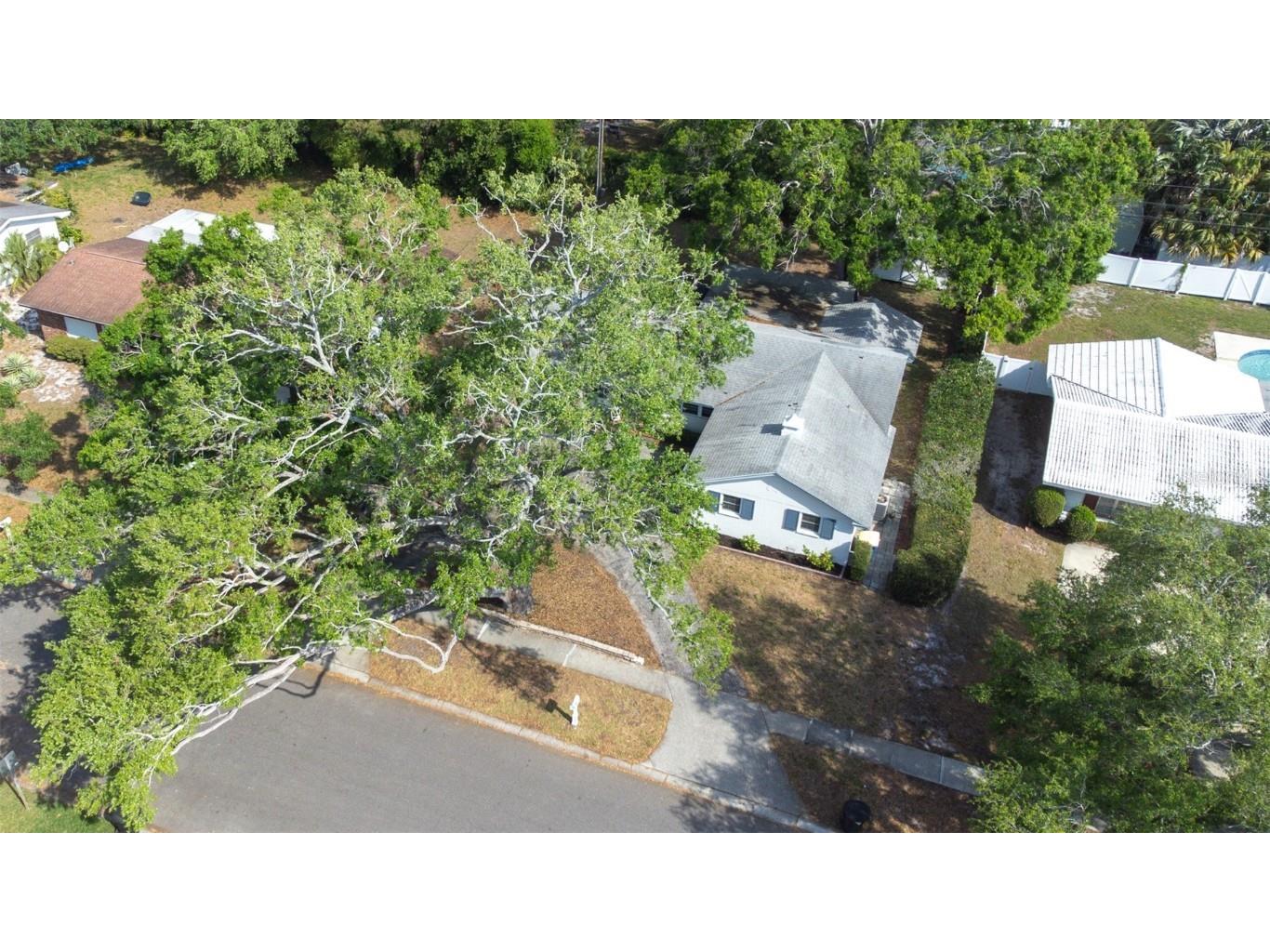 2244 Glenmoor Road N Clearwater FL 33764 TB8439889 image44