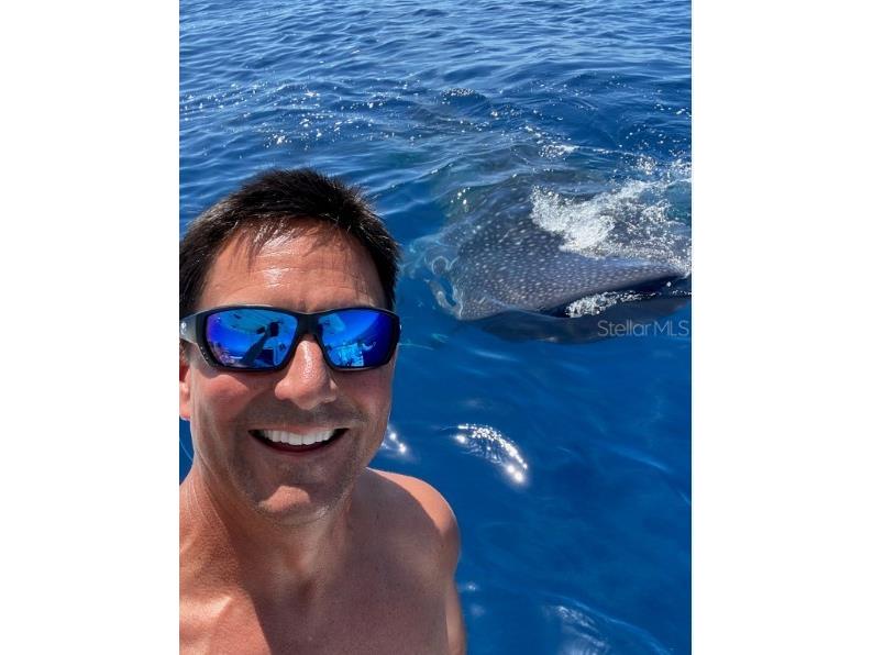 2244 Palm Terrace Sarasota FL 34231 A4623728 image48