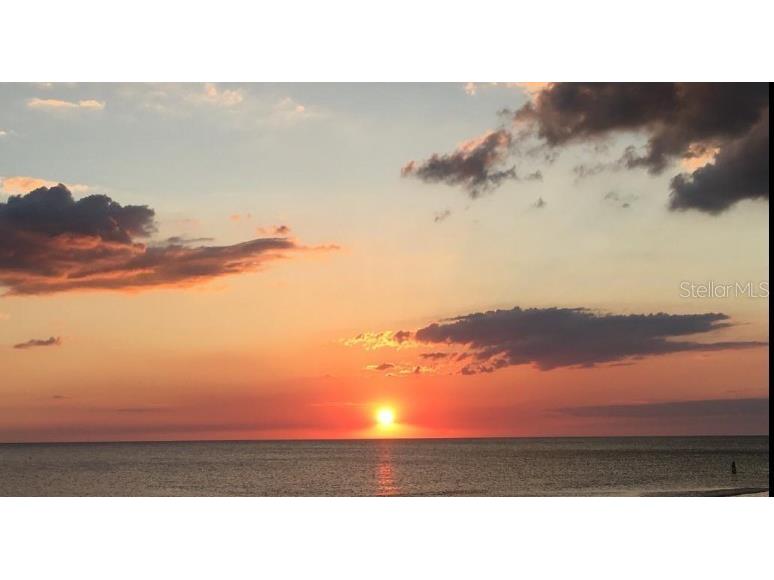 2244 Palm Terrace Sarasota FL 34231 A4623728 image49