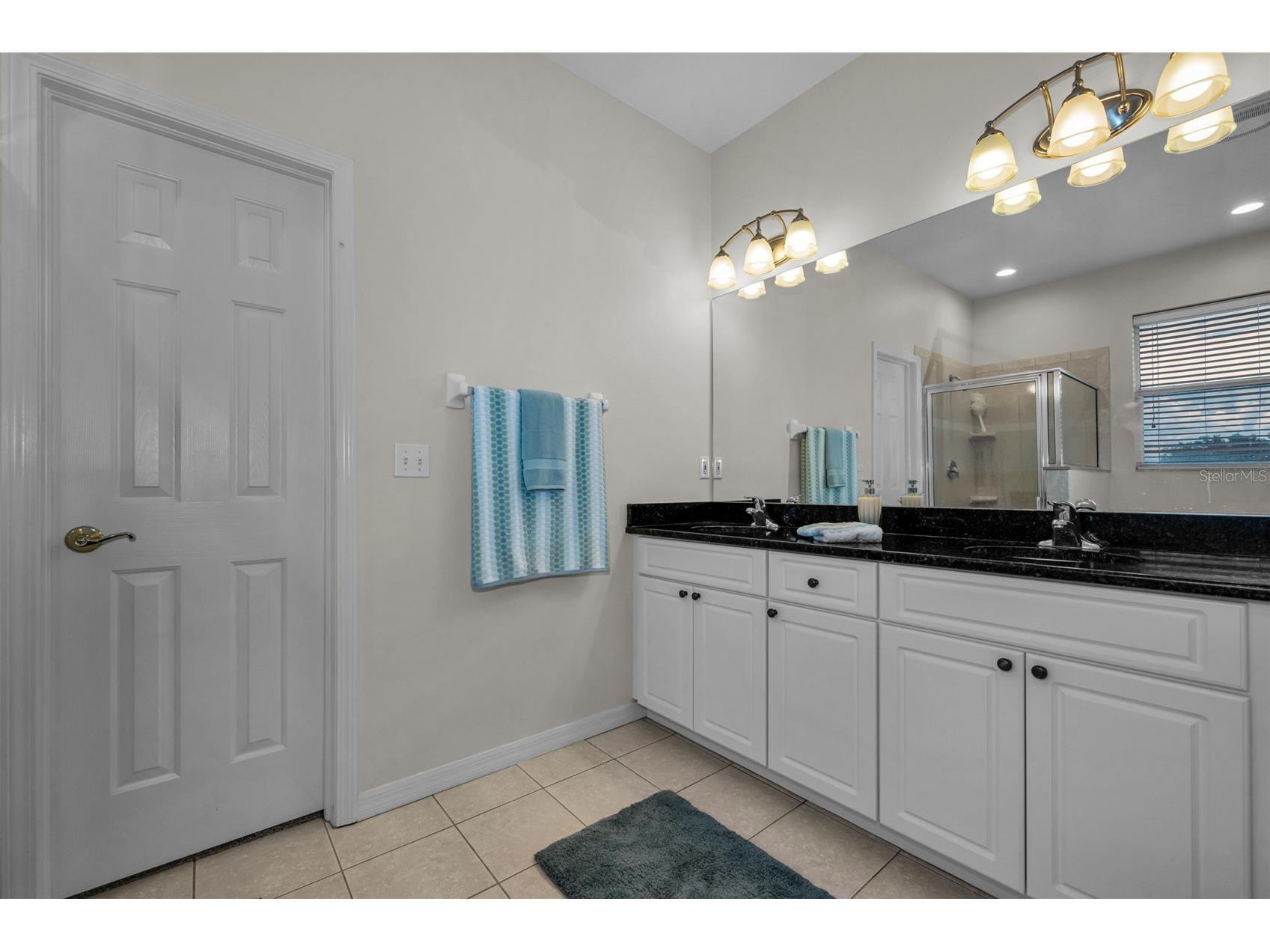 22441 Panther Run Court Land O Lakes FL 34639 TB8521038 image26
