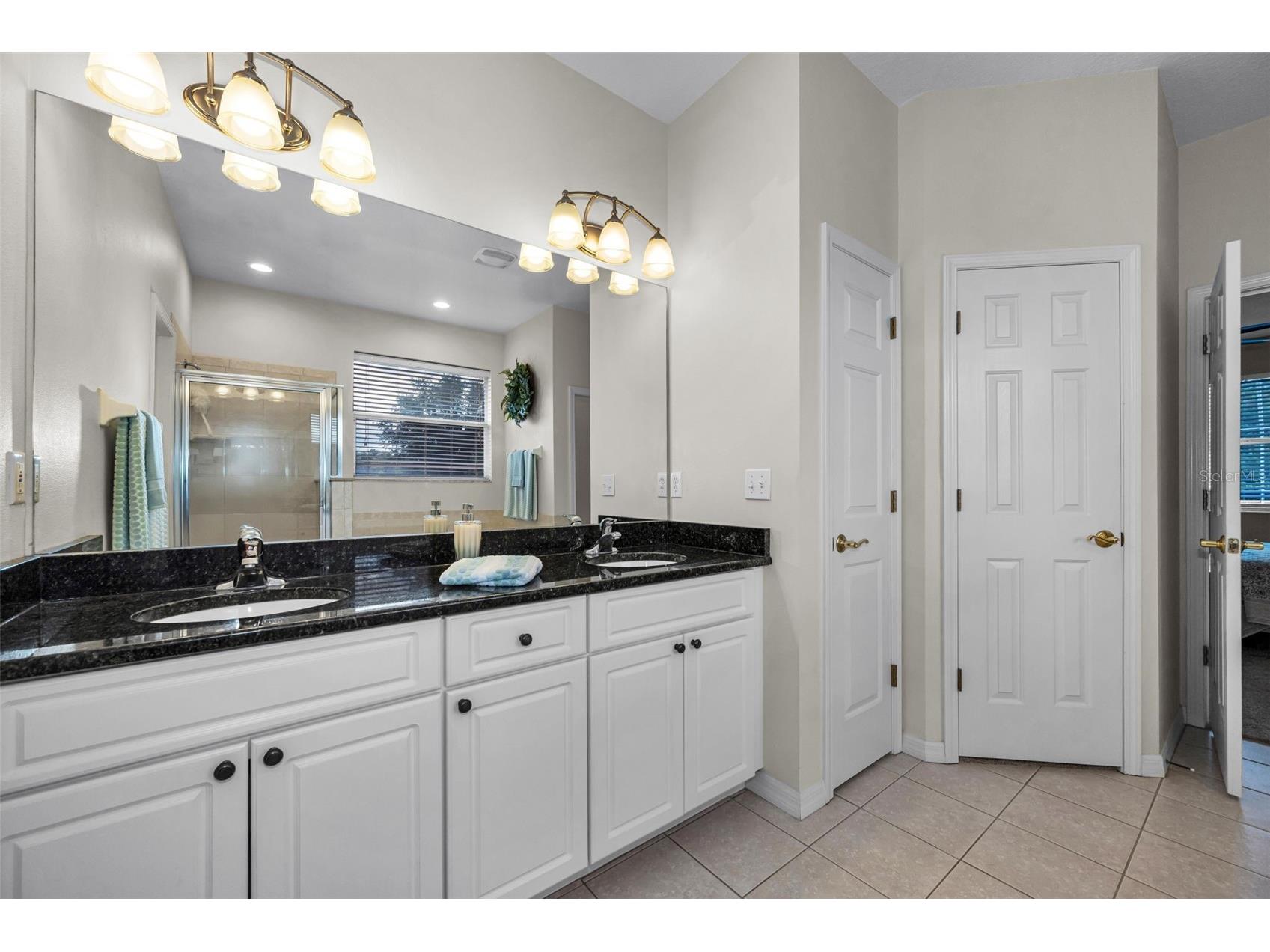 22441 Panther Run Court Land O Lakes FL 34639 TB8521038 image27
