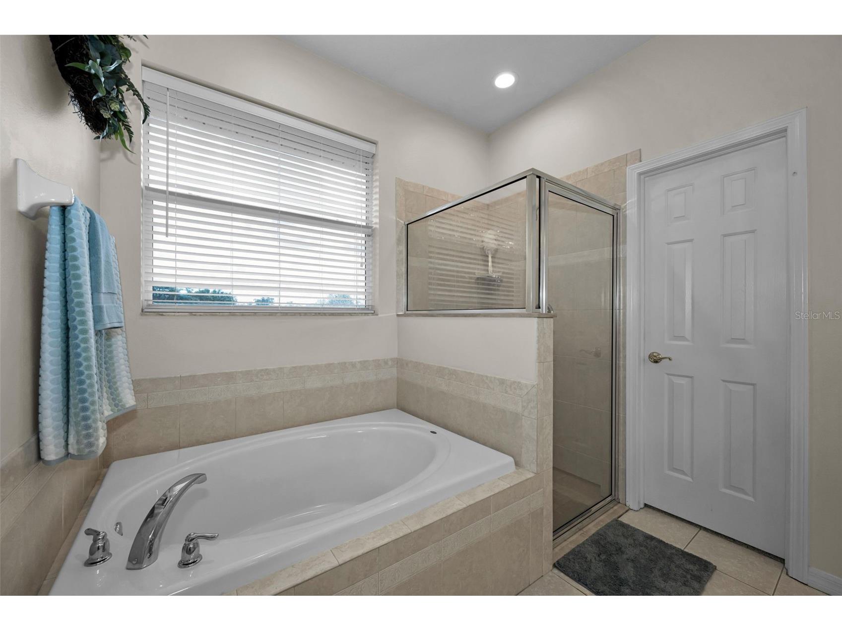 22441 Panther Run Court Land O Lakes FL 34639 TB8521038 image28