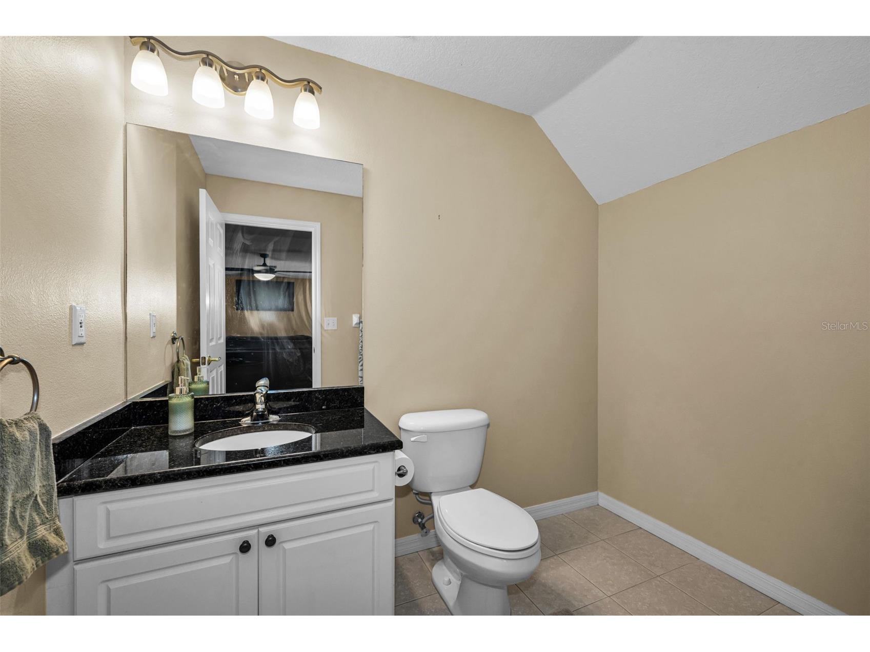 22441 Panther Run Court Land O Lakes FL 34639 TB8521038 image40