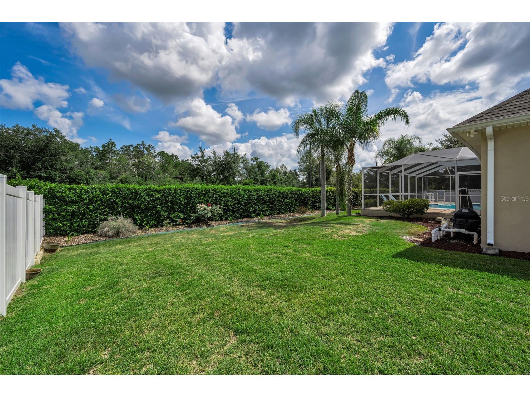 22441 Panther Run Court Land O Lakes FL 34639 TB8521038 image51