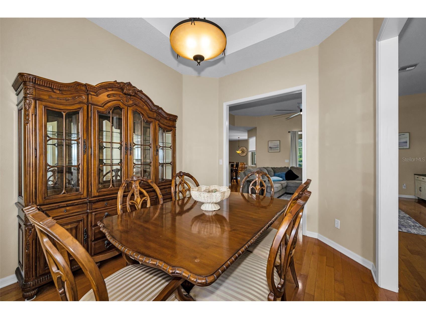 22441 Panther Run Court Land O Lakes FL 34639 TB8521038 image7