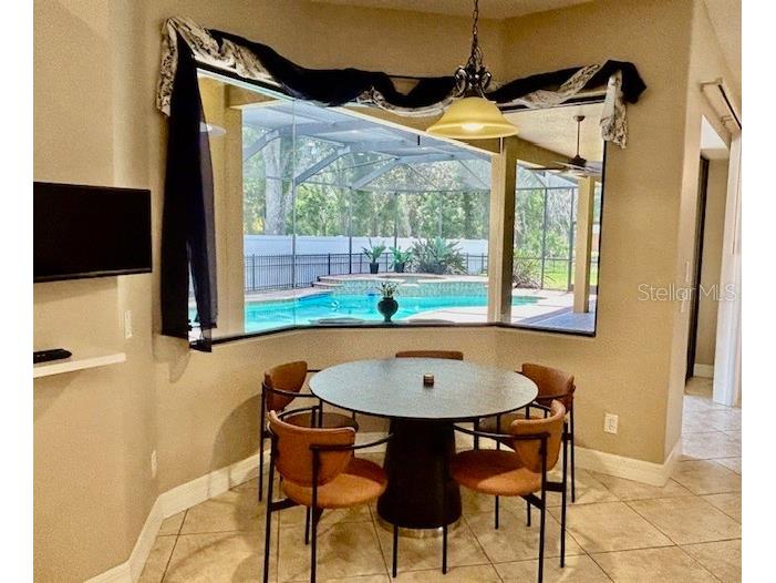 22444 Oakville Drive Land O Lakes FL 34639 - Retention pond TB8498753 image19