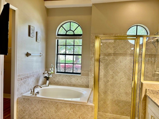 22444 Oakville Drive Land O Lakes FL 34639 - Retention pond TB8498753 image24