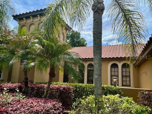22444 Oakville Drive Land O Lakes FL 34639 - Retention pond TB8498753 image43
