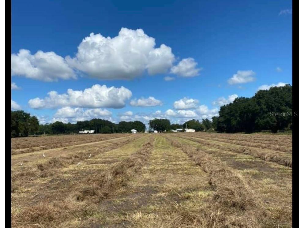 2245 Britt Road Lakeland FL 33810 L4938942 image1