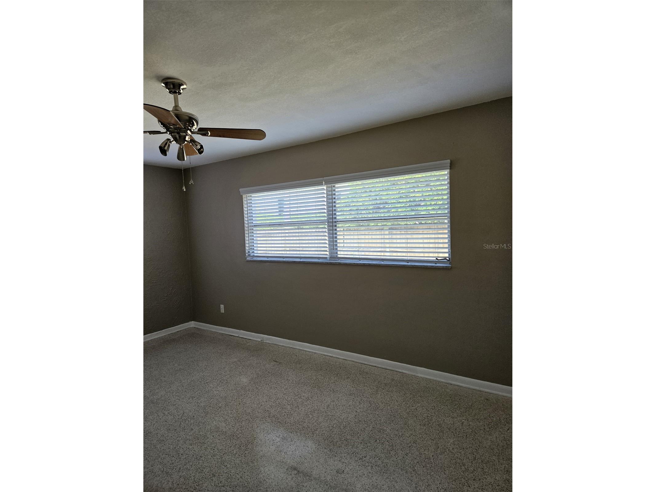 2245 Cedar Drive Dunedin FL 34698 TB8523933 image16