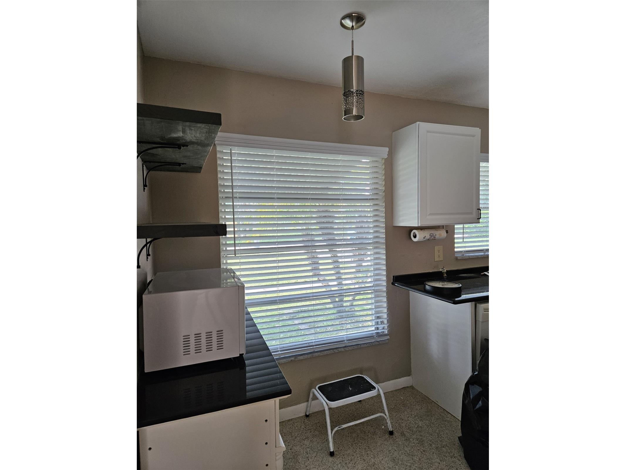 2245 Cedar Drive Dunedin FL 34698 TB8523933 image18