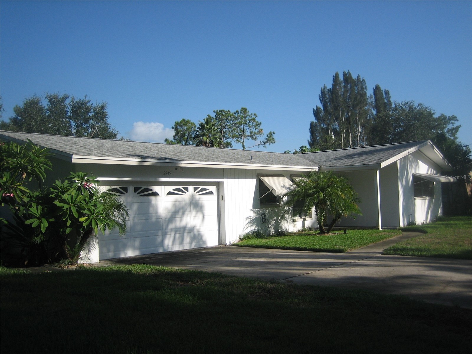 2245 Cedar Drive Dunedin FL 34698 TB8523933 image2
