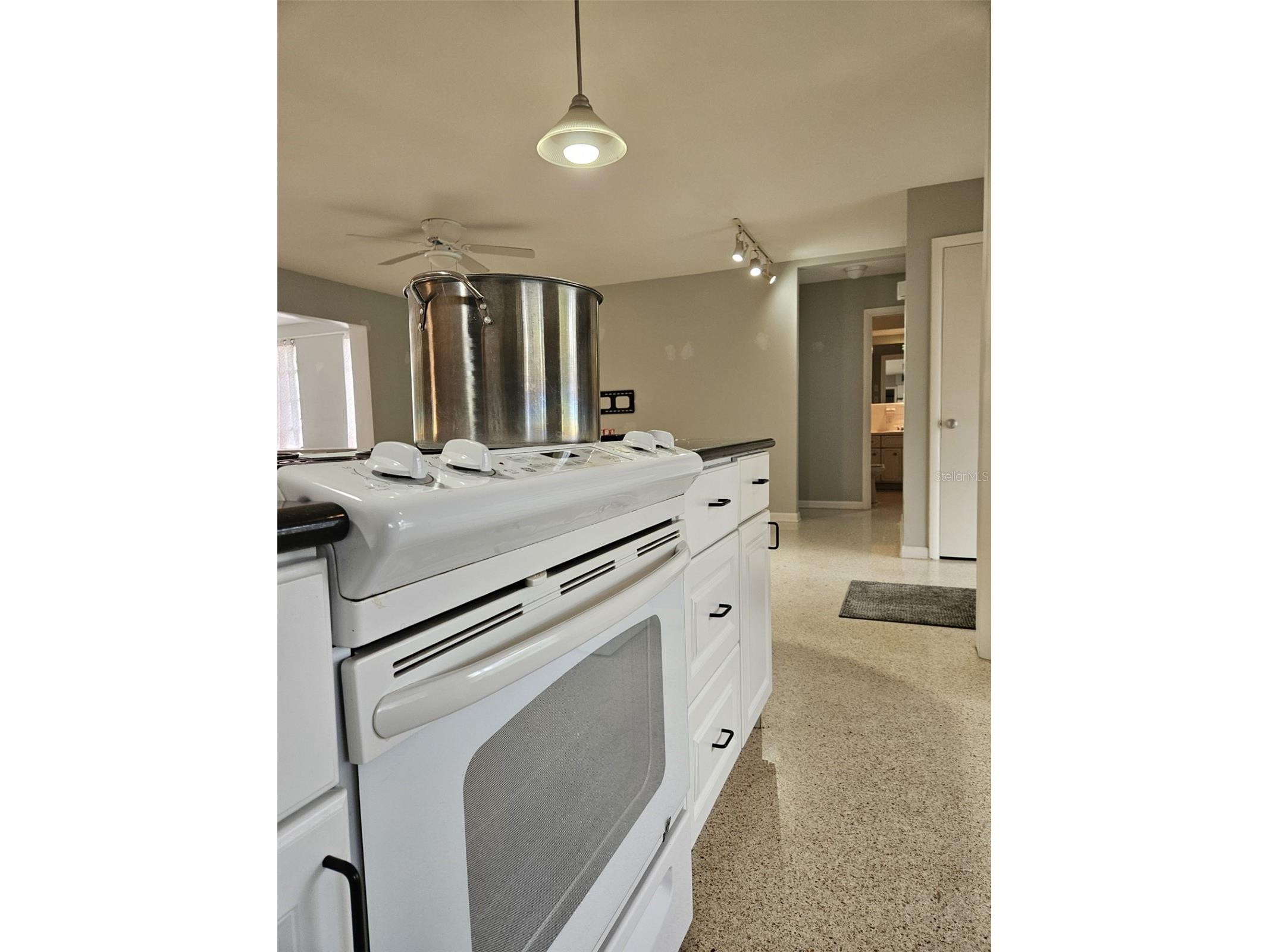 2245 Cedar Drive Dunedin FL 34698 TB8523933 image4