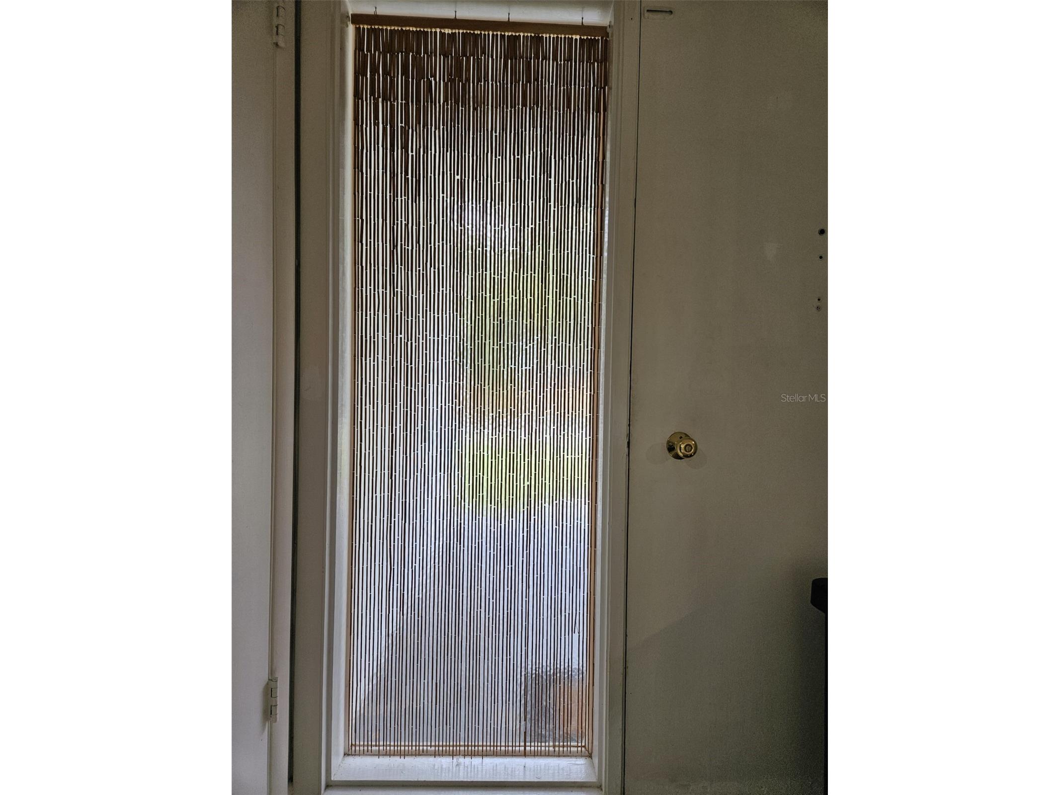 2245 Cedar Drive Dunedin FL 34698 TB8523933 image5