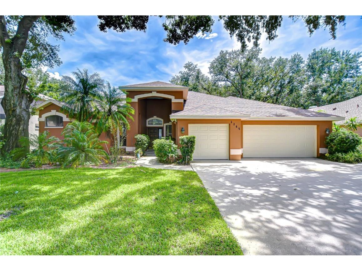 2245 Eagle Bluff Drive Valrico FL 33596 TB8416606 image1