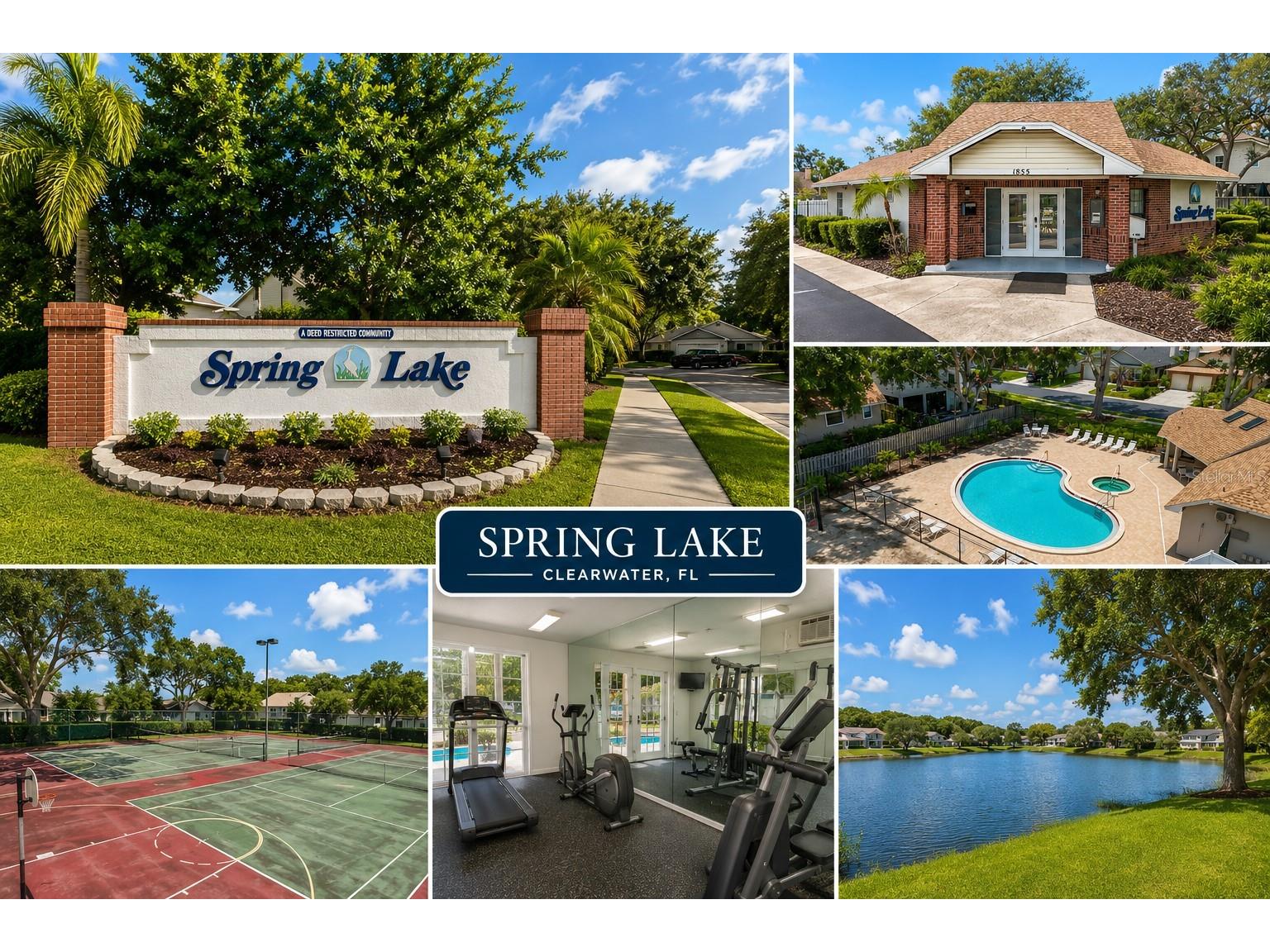 2245 Springrain Drive Clearwater FL 33763 - SPRING LAKE OF CLEARWATER TB8508710 image30