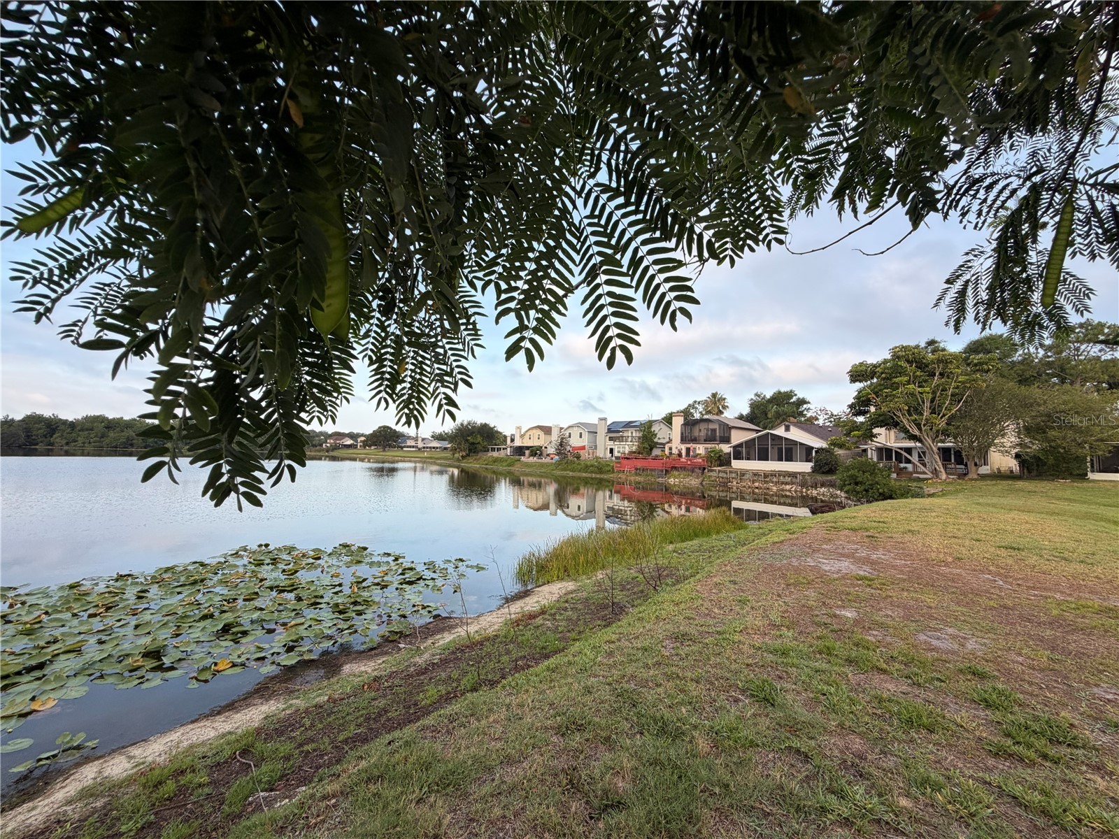 2245 Springrain Drive Clearwater FL 33763 - SPRING LAKE OF CLEARWATER TB8508710 image46