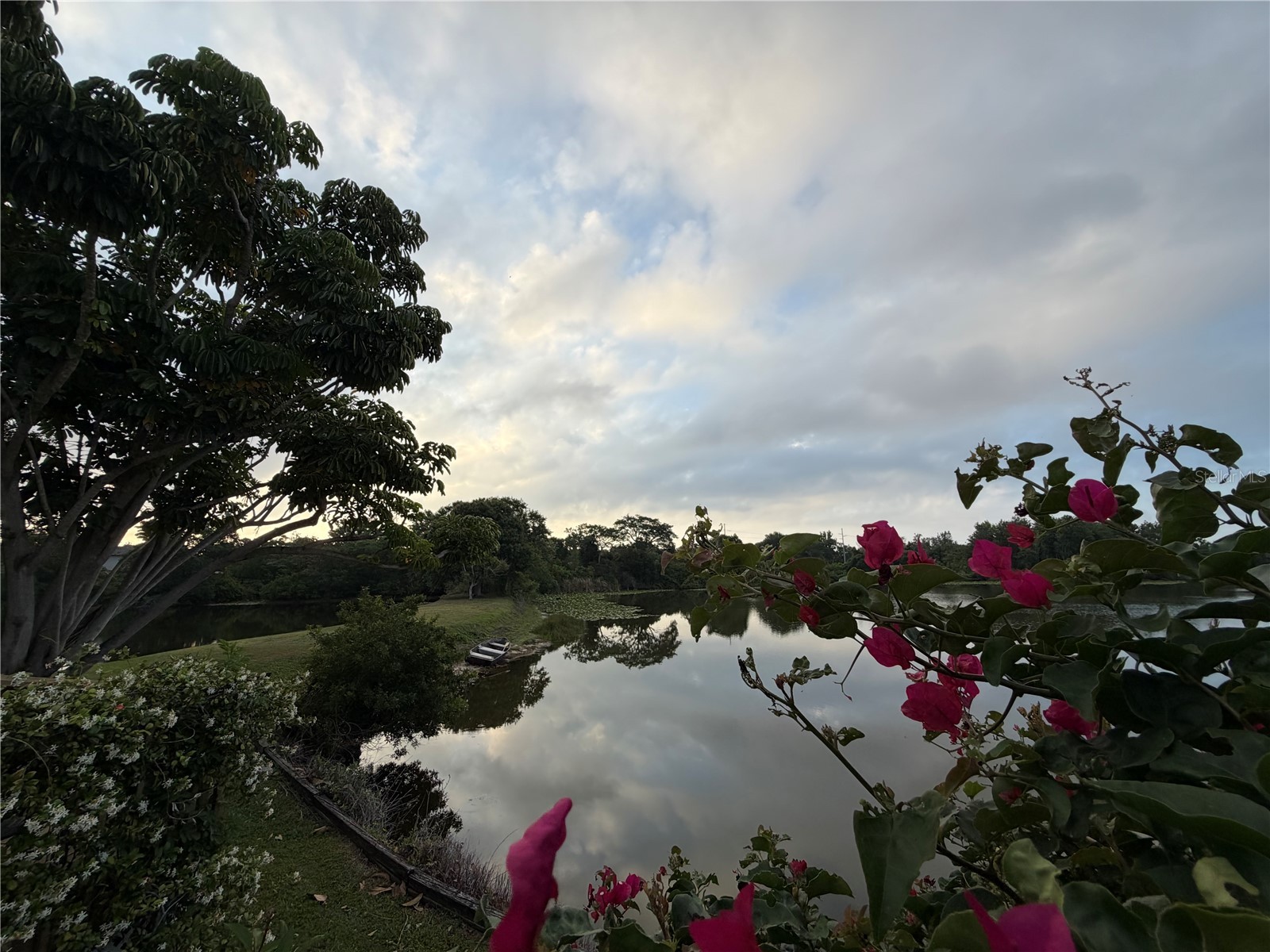 2245 Springrain Drive Clearwater FL 33763 - SPRING LAKE OF CLEARWATER TB8508710 image48